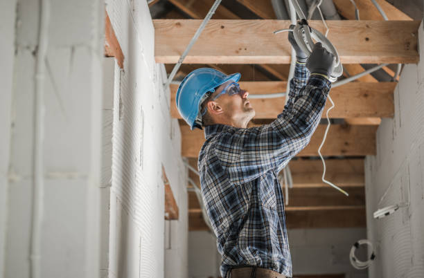 Best Electric Panel Repair  in Oakville, MO
